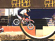 Gioco Moto X arena