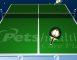<b>Ping Pong Garfield - Pingpongga