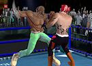 Gioco Real kickboxing fighting