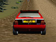 <b>Gara di rally - Super rally challenge