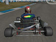 Gioco Wild kart