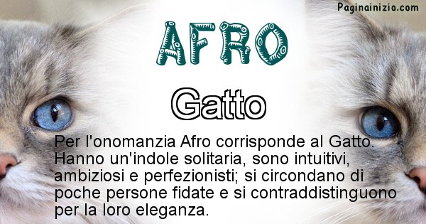 Afro - Animale associato al nome Afro