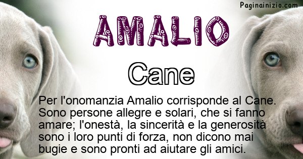 Amalio - Animale associato al nome Amalio