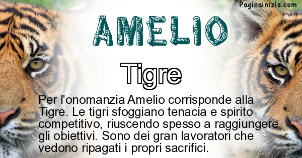 Amelio - Animale associato al nome Amelio