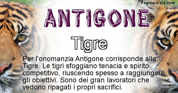 Antigone - Animale associato al nome Antigone