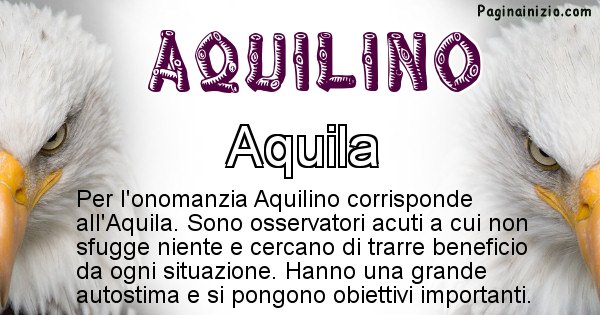 Aquilino - Animale associato al nome Aquilino