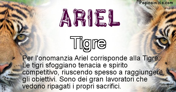 Ariel - Animale associato al nome Ariel