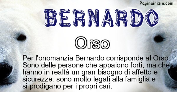 Bernardo - Animale associato al nome Bernardo