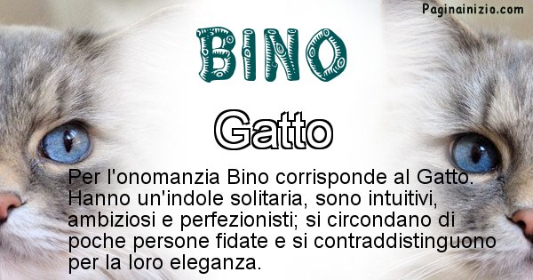 Bino - Animale associato al nome Bino