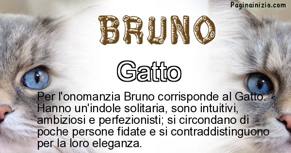 Bruno - Animale associato al nome Bruno