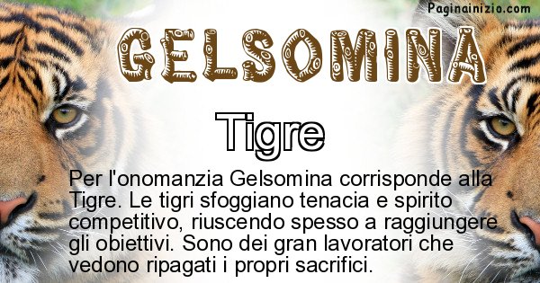 Gelsomina - Animale associato al nome Gelsomina