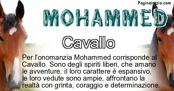 Mohammed - Animale associato al nome Mohammed