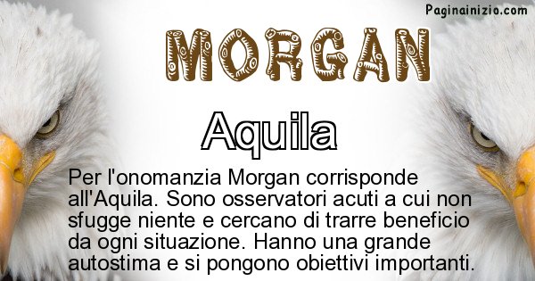 Morgan - Animale associato al nome Morgan