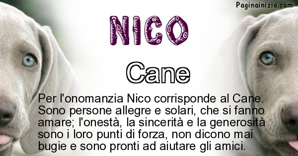 Nico - Animale associato al nome Nico