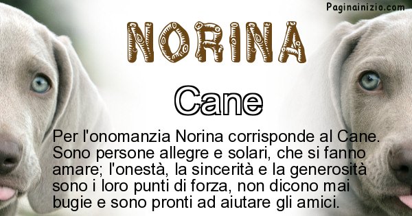 Norina - Animale associato al nome Norina