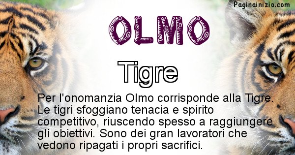 Olmo - Animale associato al nome Olmo