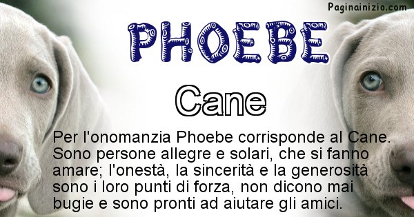 Phoebe - Animale associato al nome Phoebe