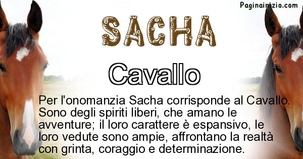 Sacha - Animale associato al nome Sacha