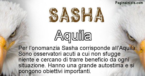 Sasha - Animale associato al nome Sasha