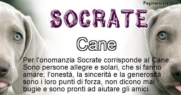 Socrate - Animale associato al nome Socrate