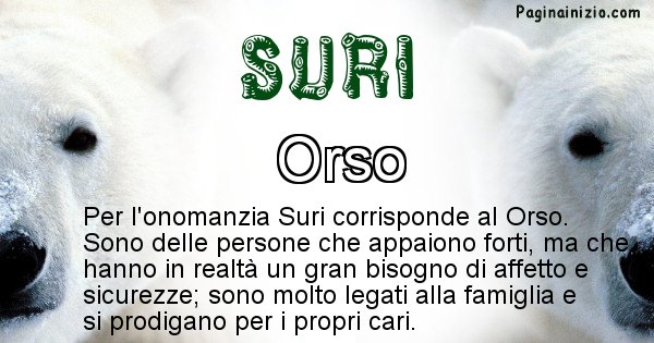 Suri - Animale associato al nome Suri