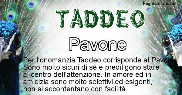 Taddeo - Animale associato al nome Taddeo