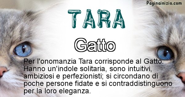 Tara - Animale associato al nome Tara