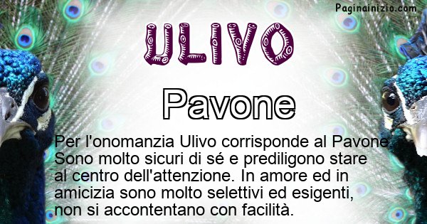 Ulivo - Animale associato al nome Ulivo