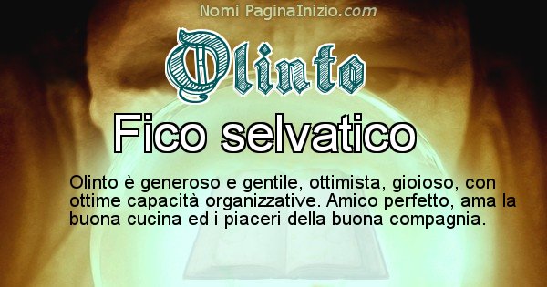 Olinto - Significato reale del nome Olinto