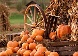 Ricette per il mese di ottobre