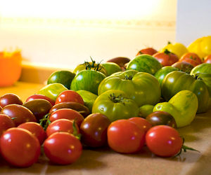 Antipasto del Vegetariano