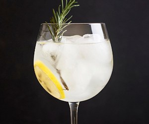 Gin Tonic