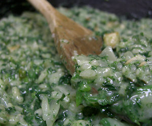 Risotto Verde Verde