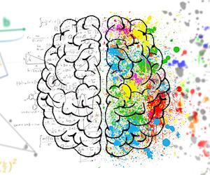 Quale emisfero del cervello predomina in te?