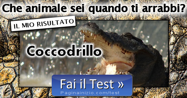 Risultato Test Che Animale Sei Quando Ti Arrabbi Coccodrillo